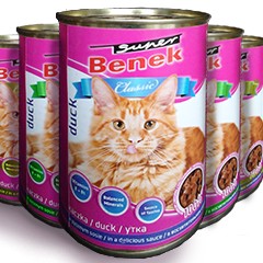 Super Benek (Польша)